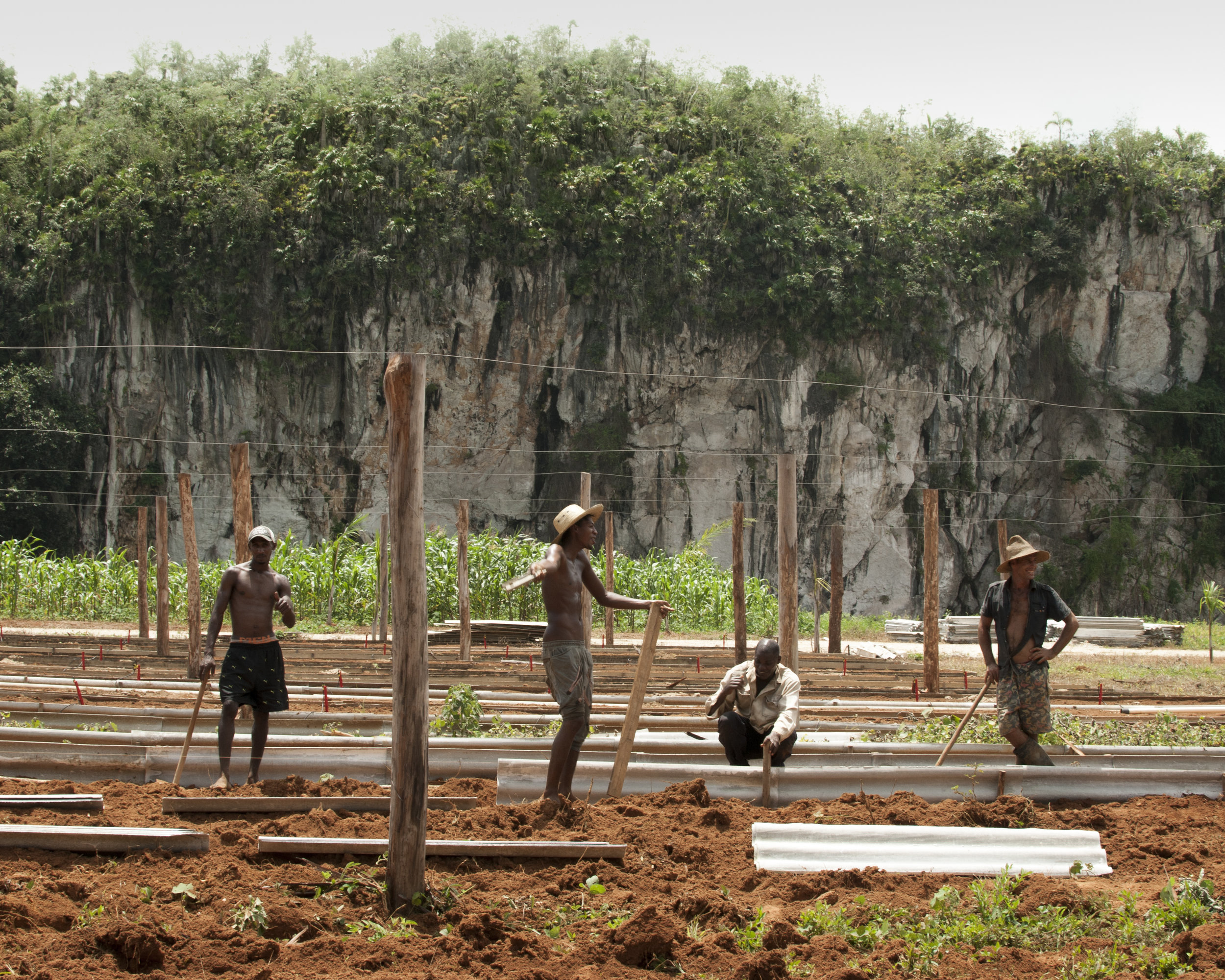 cuban_workers